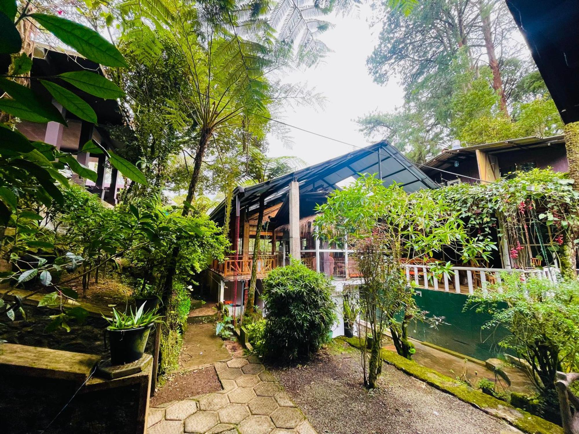 King Fern Cottage Нувара-Элия Экстерьер фото