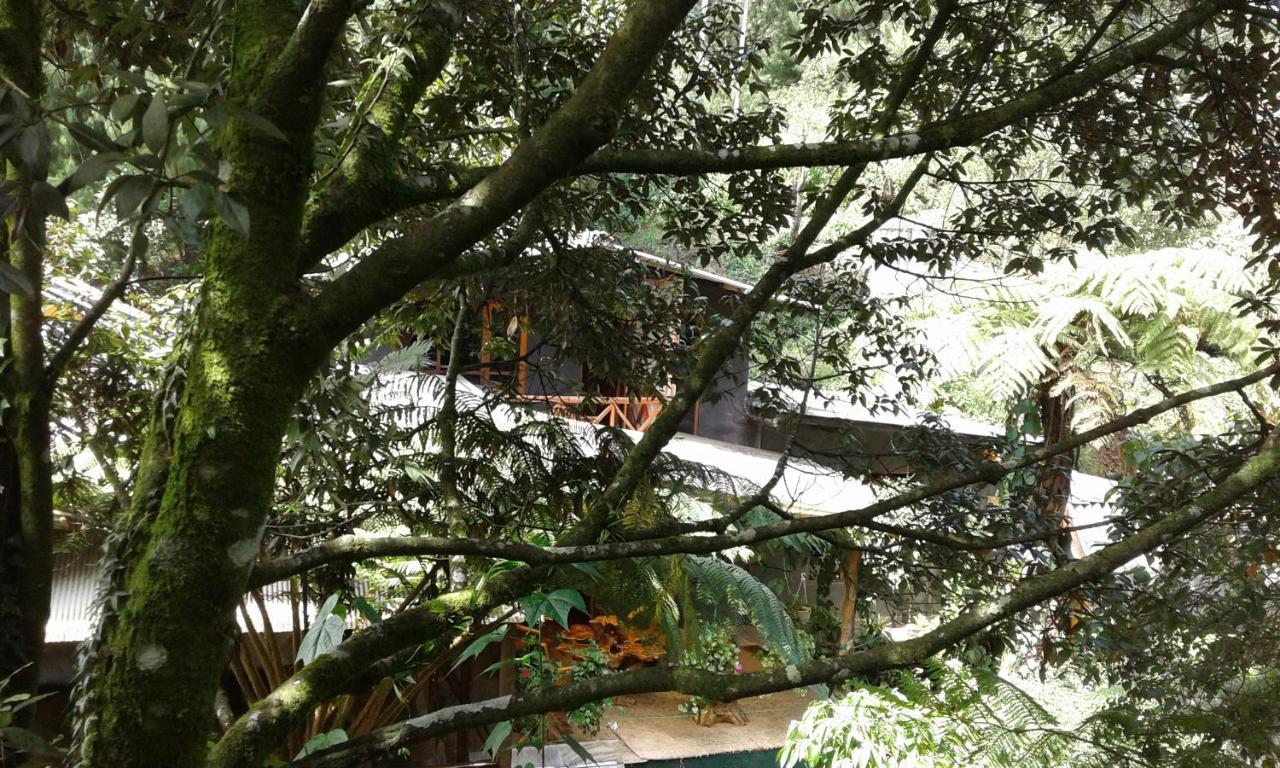 King Fern Cottage Нувара-Элия Экстерьер фото
